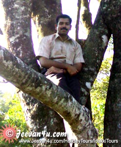 Retheesh on Tree